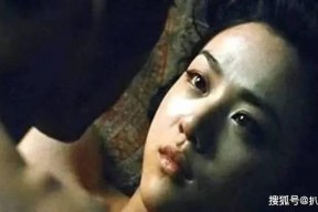 国产成人在线看