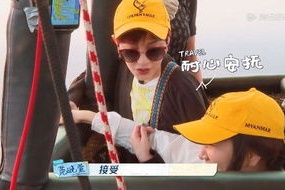 国产鸡情,探寻我国鸡肉产业的崛起之路