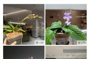 午夜国产自,揭秘国产影视作品的魅力与挑战